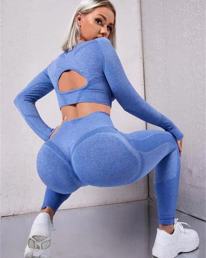 Women's seamless two piece gym set