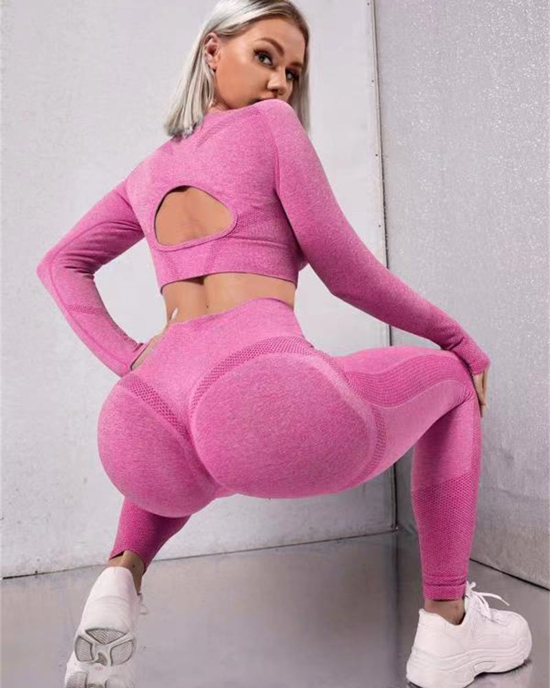 Women's seamless two piece gym set