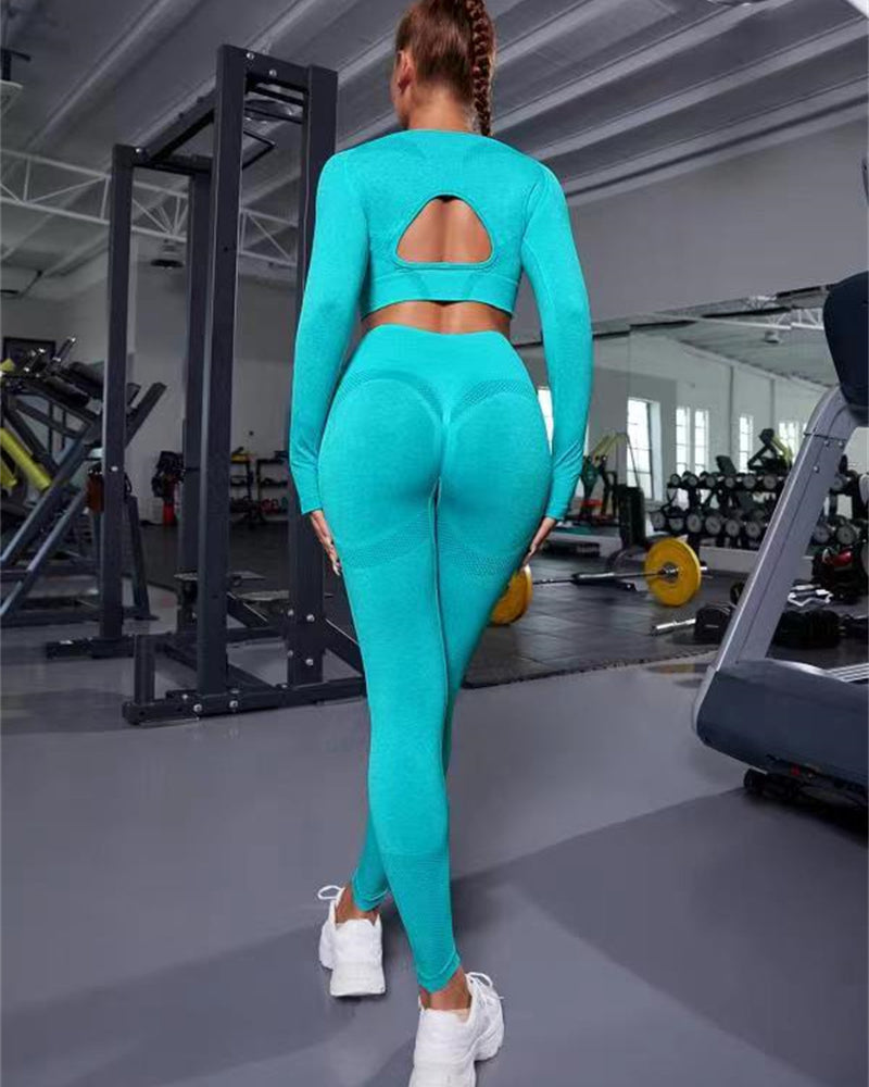 Women's seamless two piece gym set