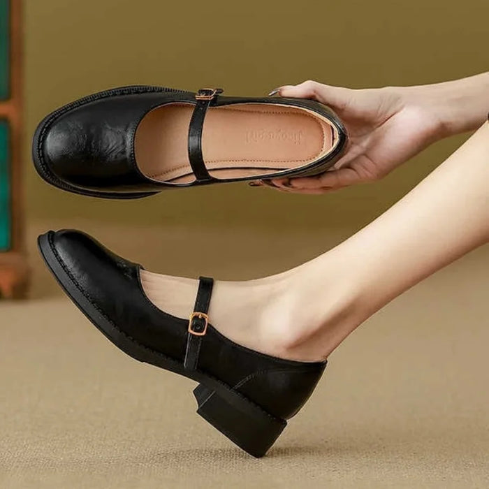 Women's Mary Jane Shoes Low Block Heel Single Strap