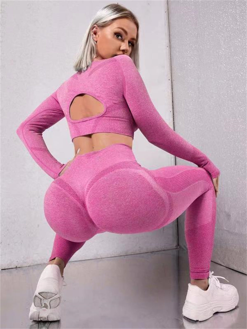 Women's seamless two piece gym set